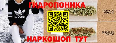 крисы Кумертау