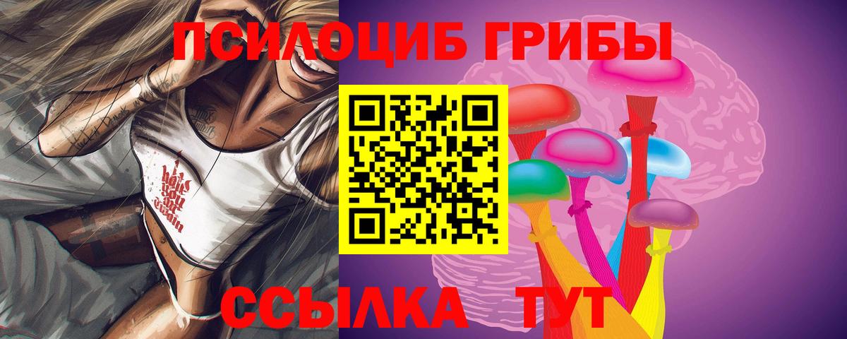 Горно-Алтайск  Галлюциногенные грибы GOLDEN TEACHER  Вход с VPN 